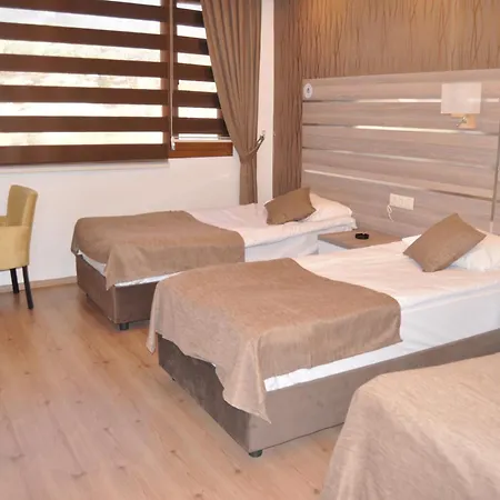 Arikan Hotell *